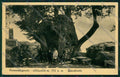 Siena Piancastagnaio cartolina QK4759 – fronte