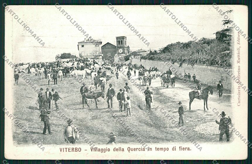 Viterbo Città Mercato Bestiame cartolina QK5103 – fronte