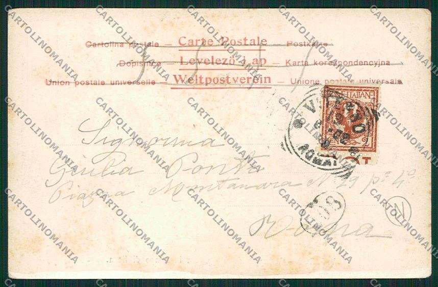 Viterbo Città Mercato Bestiame cartolina QK5103 – retro