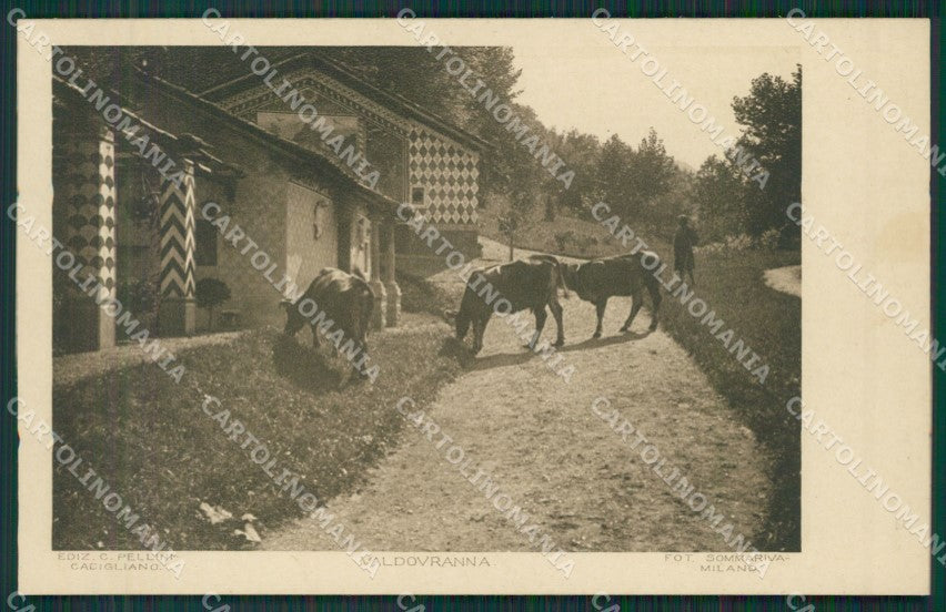 Varese Cadegliano Viconago cartolina QK5227 – fronte