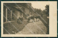 Varese Cadegliano Viconago cartolina QK5227 – fronte