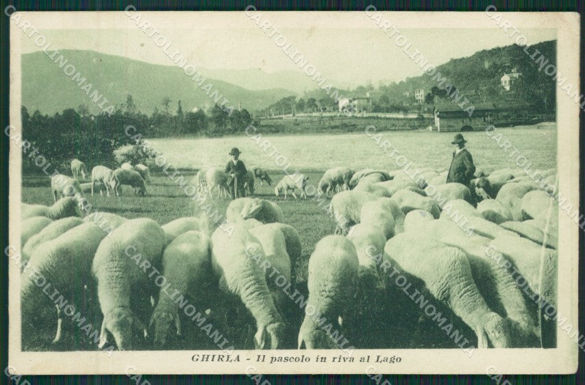 Varese Ghirla Gregge cartolina QK5390 – fronte