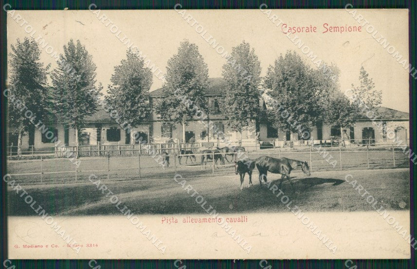Varese Casorate Sempione cartolina QK5516 – fronte