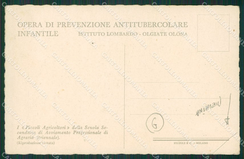 Varese Olgiate Olona PIEGHINA cartolina QK5811 – retro