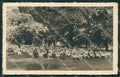 Varese Olgiate Olona cartolina QK5812 – fronte