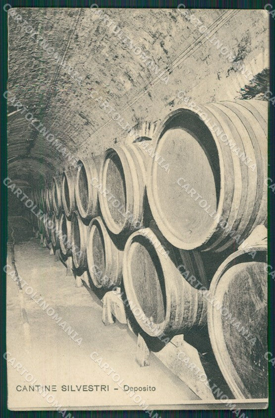Ascoli Piceno Città Cantine Silvestri cartolina QK6325 – fronte