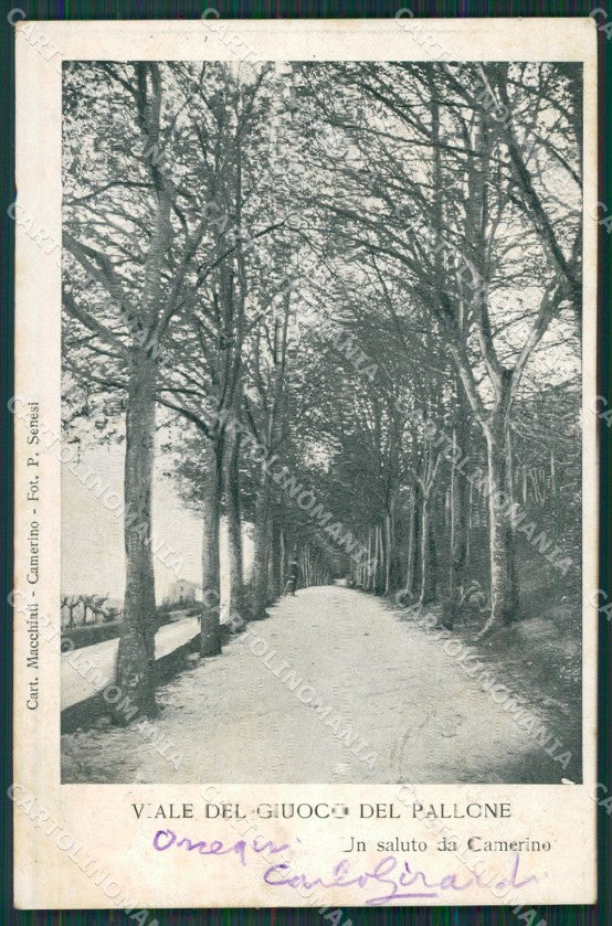 Macerata Camerino cartolina QK6493 – fronte