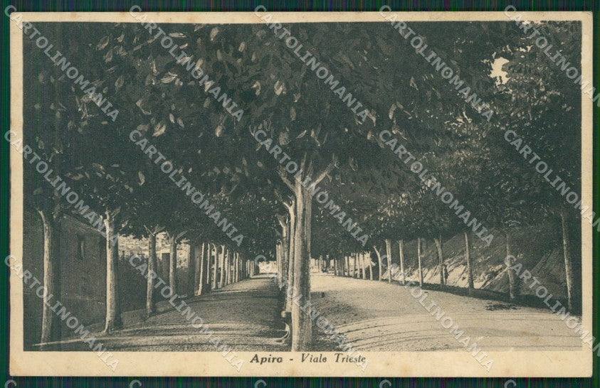 Macerata Apiro cartolina QK6560 – fronte