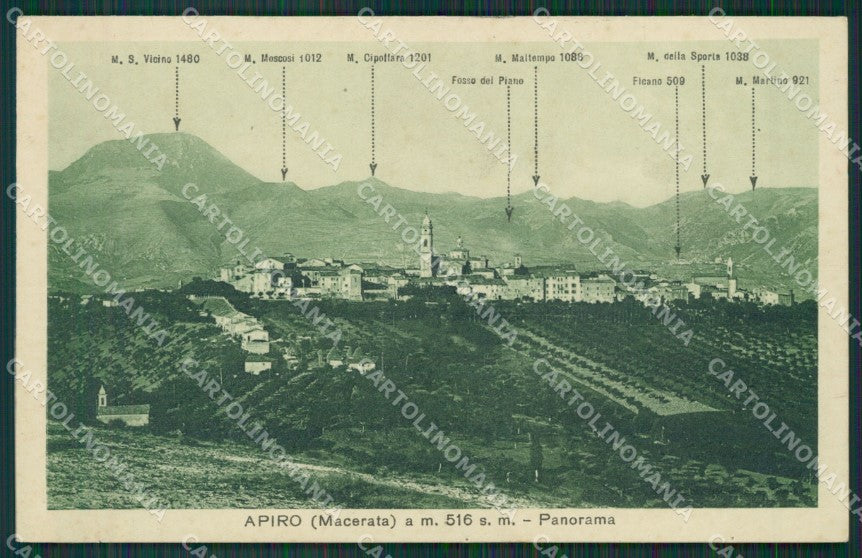 Macerata Apiro cartolina QK6562 – fronte
