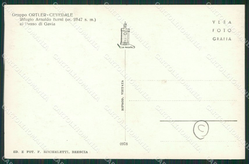 Brescia Passo Gavia Foto cartolina QK7194 – retro