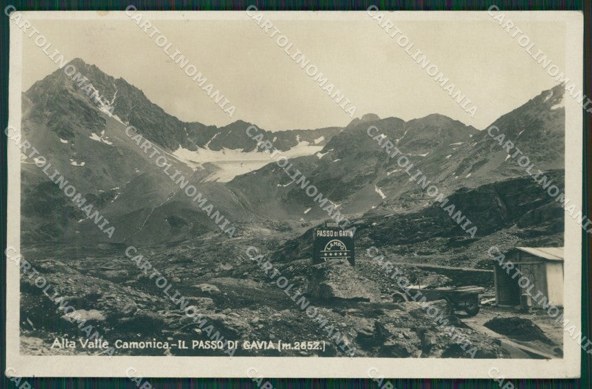 Brescia Passo Gavia Foto cartolina QK7197 – fronte