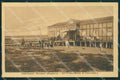 Venezia Sottomarina cartolina QK7259 – fronte