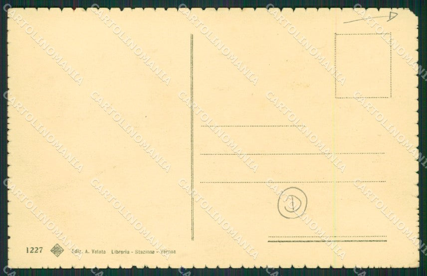 Verona Città cartolina QK7326 – retro