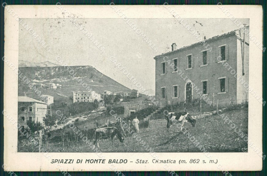 Verona Spiazzi di Monte Baldo cartolina QK7467 – fronte