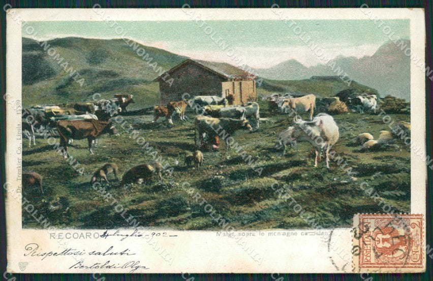 Vicenza Recoaro cartolina QK7756 – fronte