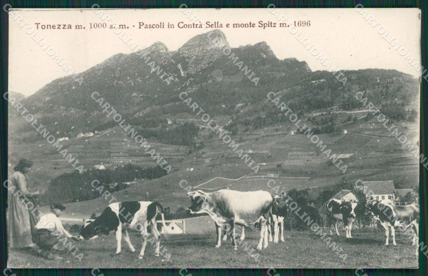 Vicenza Tonezza cartolina QK7967 – fronte