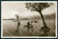 Varese Lago Foto cartolina QK8242 – fronte