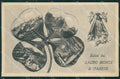 Varese Sacro Monte Saluti da cartolina QK8348 – fronte