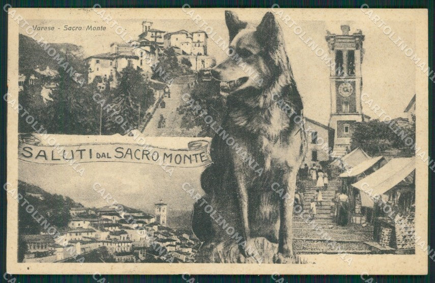 Varese Sacro Monte STRAPPINO cartolina QK8358 – fronte