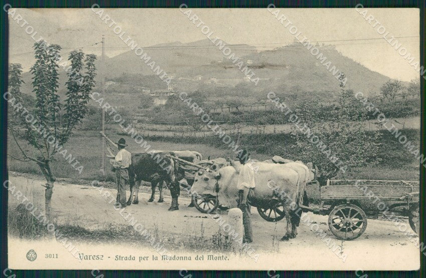 Varese Sacro Monte cartolina QK8367 – fronte