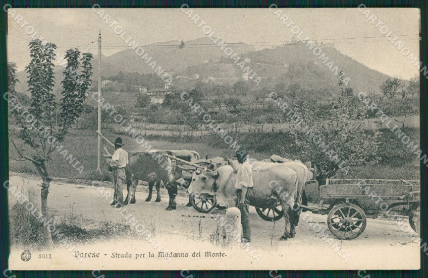 Varese Sacro Monte cartolina QK8369 – fronte