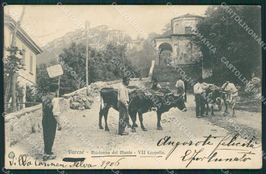 Varese Sacro Monte PIEGHINA cartolina QK8375 – fronte