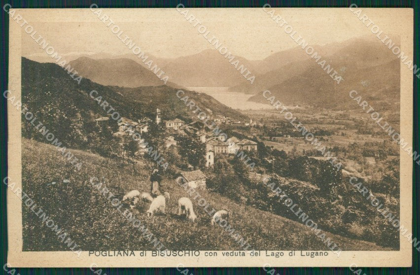 Varese Bisuschio Pogliana cartolina QK8639 – fronte