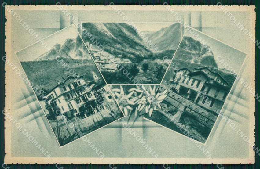 Cuneo Acceglio Stella Alpina PIEGA cartolina QK8806 – fronte