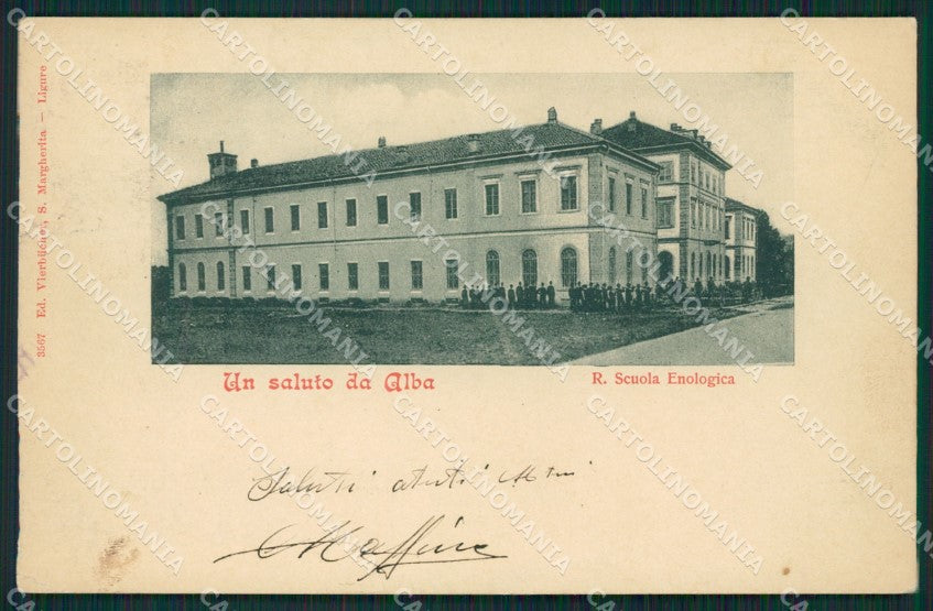Cuneo Alba cartolina QK8832 – fronte