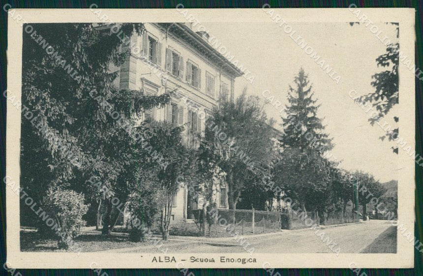 Cuneo Alba cartolina QK8835 – fronte