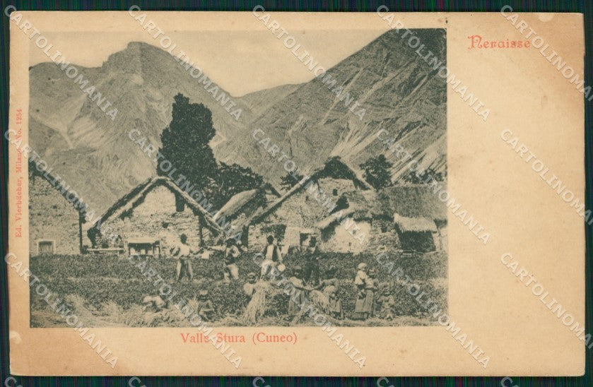 Cuneo Vinadio Neraisse Mietitura cartolina QK9242 – fronte