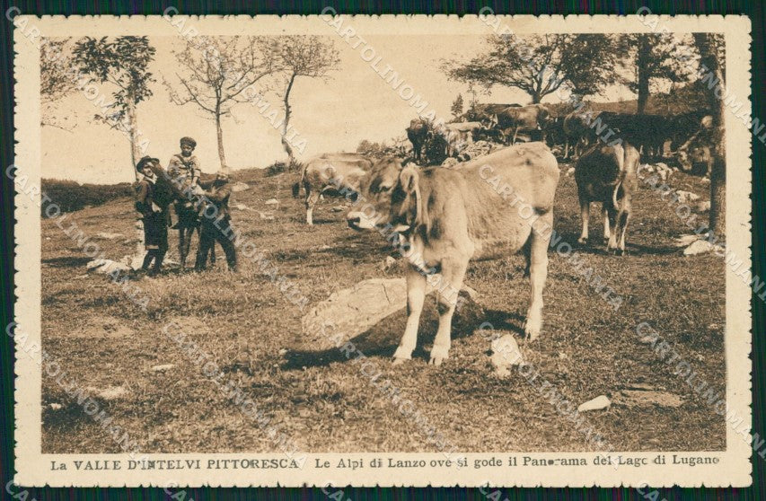 Como Alpi di Lanzo cartolina QK9320 – fronte