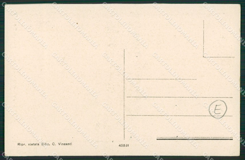 Varese Azzio PIEGHINE cartolina QK9954 – retro