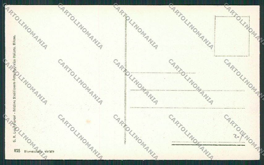 Messina Città Terremoto cartolina QQ0353 – retro