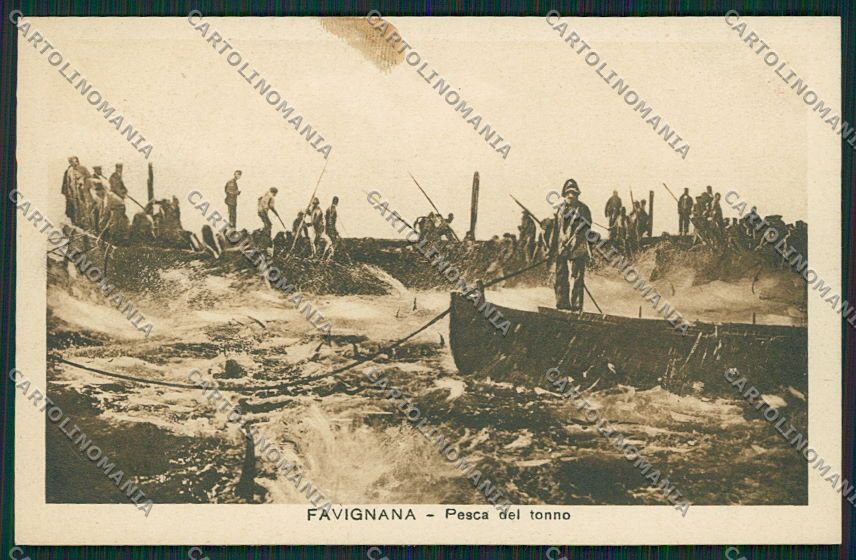 Trapani Favignana cartolina QQ0785 – fronte