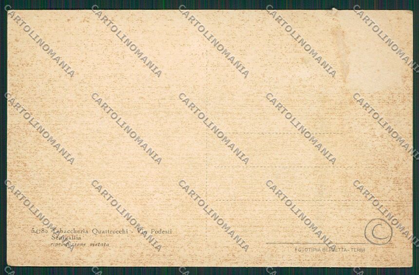 Ancona Senigallia PIEGHINA cartolina QQ1203 – retro