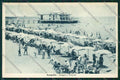 Ancona Senigallia cartolina QQ1219 – fronte