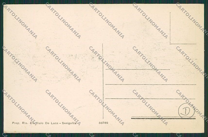 Ancona Senigallia cartolina QQ1226 – retro