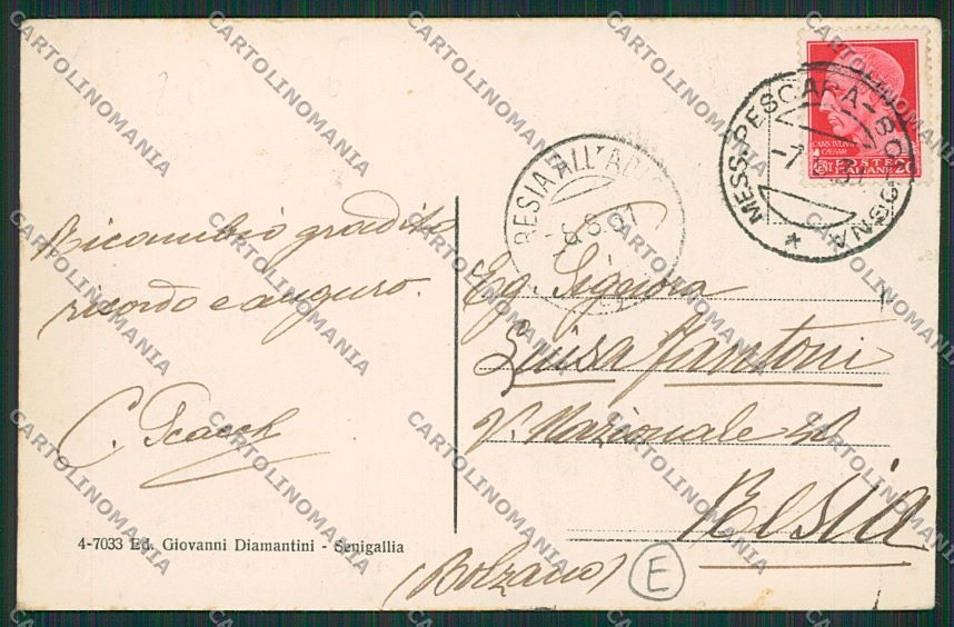 Ancona Senigallia cartolina QQ1233 – retro