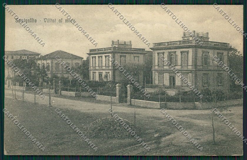 Ancona Senigallia cartolina QQ1236 – fronte