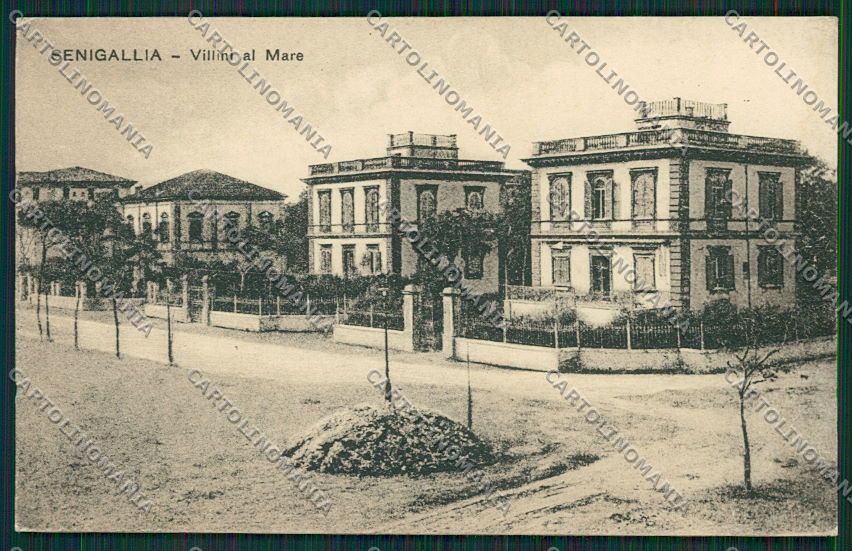 Ancona Senigallia cartolina QQ1241 – fronte