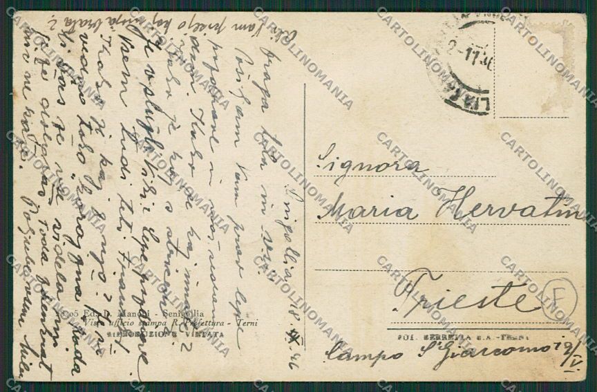 Ancona Senigallia cartolina QQ1243 – retro