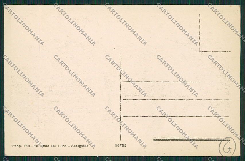 Ancona Senigallia cartolina QQ1250 – retro