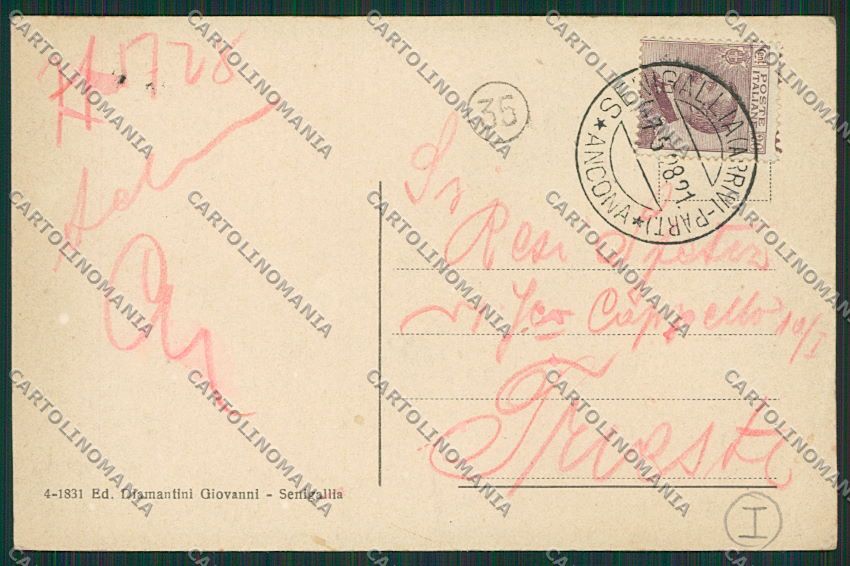 Ancona Senigallia cartolina QQ1253 – retro