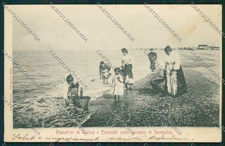 Ancona Senigallia Pescatrici Telline Calcinelli Mestieri cartolina QQ1257 – fronte