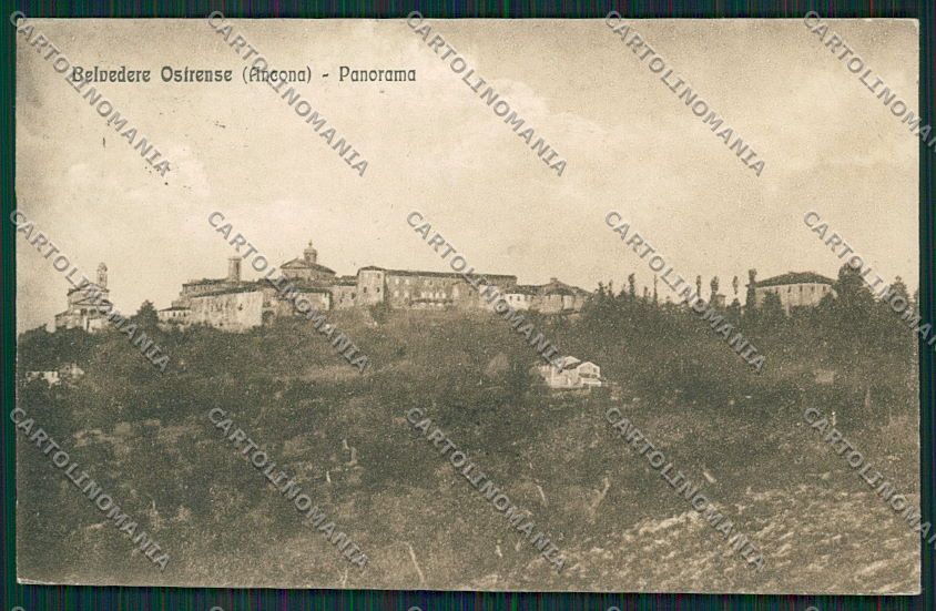 Ancona Belvedere Ostrense Alterocca 49740 cartolina QQ1262 – fronte