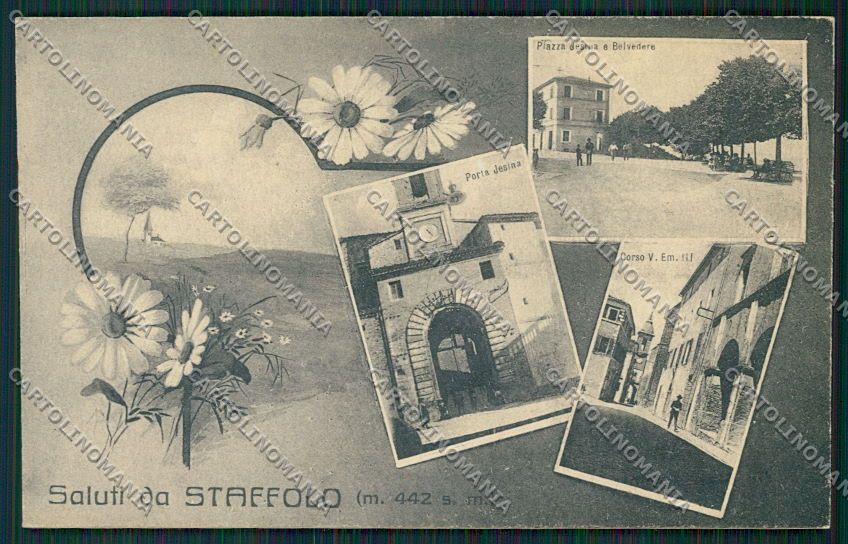 Ancona Staffolo Saluti da cartolina QQ1280 – fronte