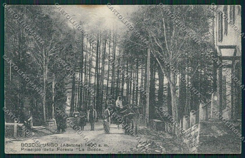 Pistoia Boscolungo Abetone cartolina QQ1385 – fronte
