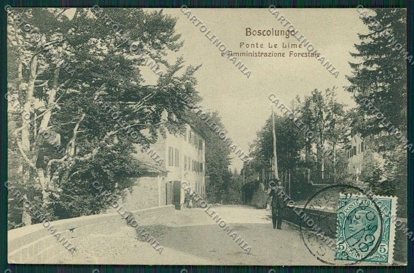 Pistoia Boscolungo Abetone Forestale cartolina QQ1387 – fronte