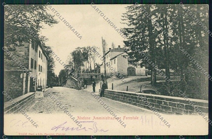 Pistoia Abetone Forestale cartolina QQ1390 – fronte